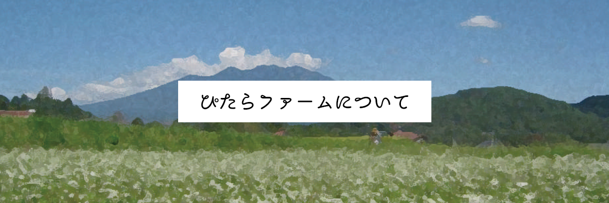 ぴたらファームについて