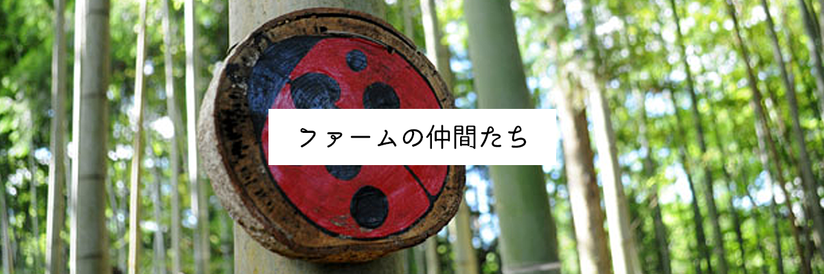 ファームの仲間たち