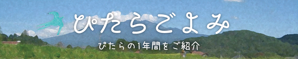 ぴたらごよみ ぴたらの1年間をご紹介
