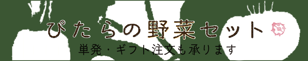 ぴたらの野菜セット（単発・ギフト注文も承ります）