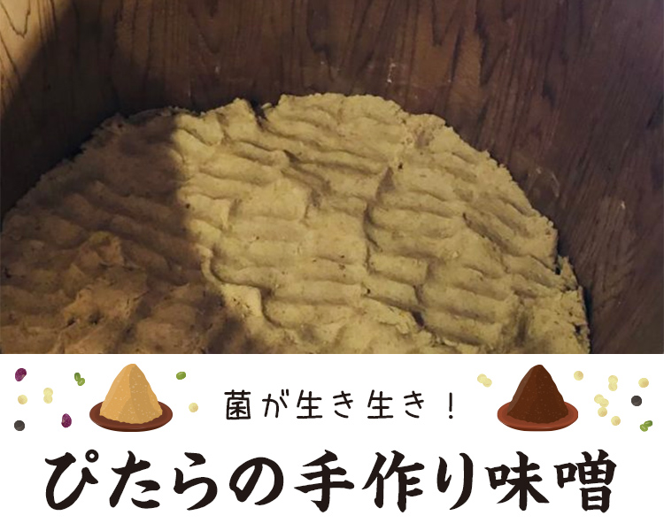 ぴたらの手作り味噌